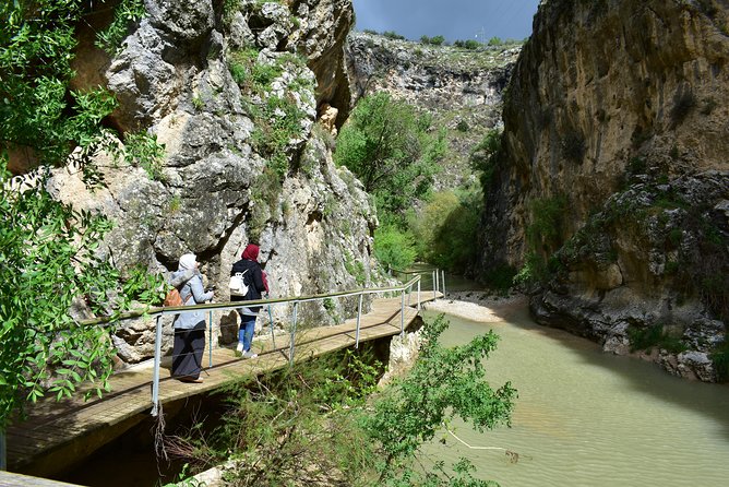 Hike along the Gollizno route - The Experience Led by Julio