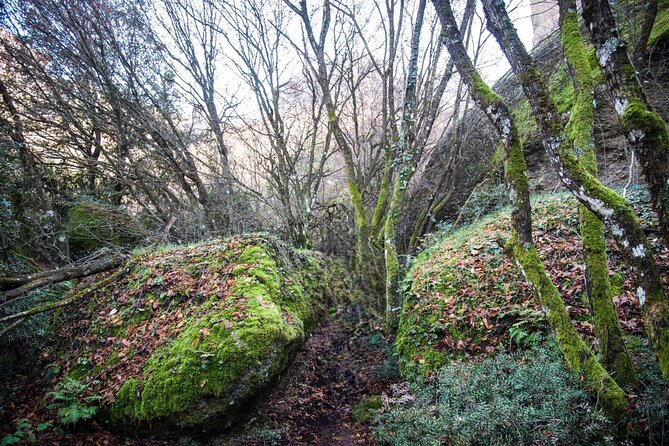 Hike among & Fly above Meteora - What Sets This Tour Apart from Similar Experiences