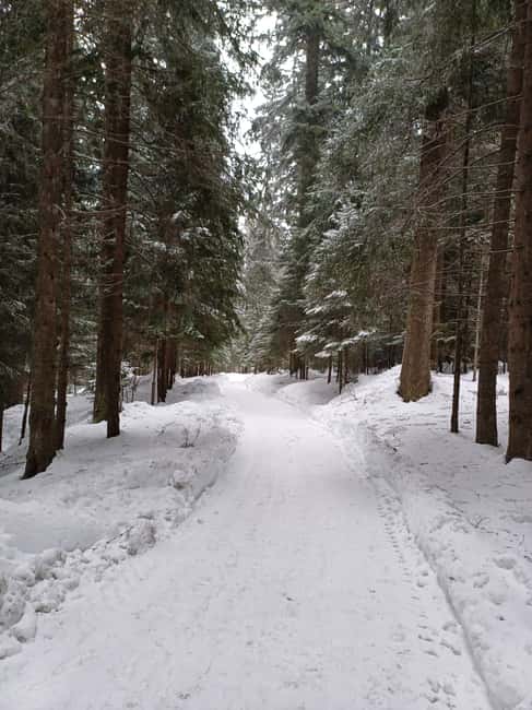 Hike and Sled in Borovets & Visit the Royal Bistritsa Palace - Visiting Tsarska Bistritsa Palace – A Royal Retreat