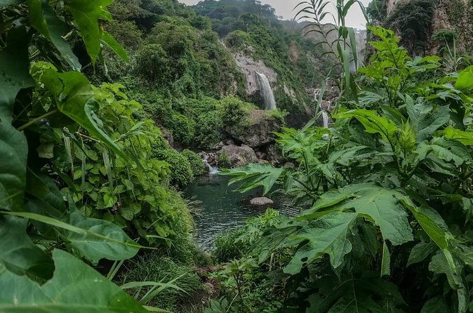 Hike and Swim in fresh springs and waterfalls in Guadalajara - The Logistics of Meeting and Returning