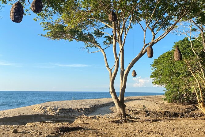 Hike and Yoga Jungle Experience in Mexico - What Makes This Tour Stand Out