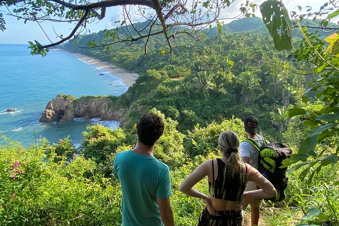 Hike and Yoga Jungle Experience in Mexico - Who Will Find This Tour Most Rewarding?