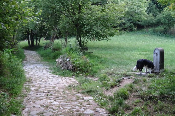 Hike & Beer: beer tasting & breathtaking views at sunset - The End of the Adventure and Group Return