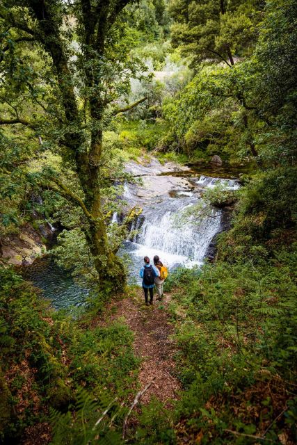 Hike, Dive & Dine Like A Local in a Secret Spot - The Adventure of Trekking to the Hidden Lagoon