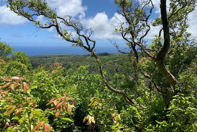 Hike Honolua Ridgeline - Exploring Maui’s Private Conservation Lands Near Puu Kukui