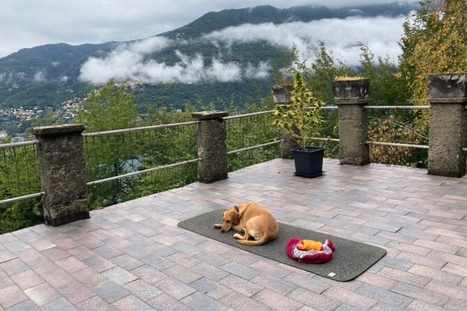 Hike in Blevios Forest for a Private Yoga Class - Comparing to Other Lake Como Tours