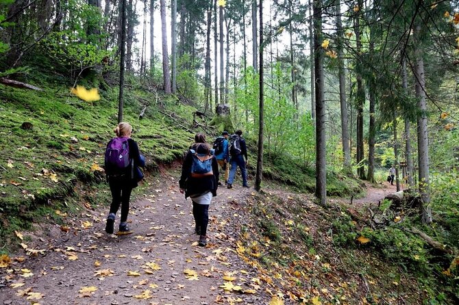 Hike In Gauja National Park - Up And Down The Switzerland Of Latvia - Key Points