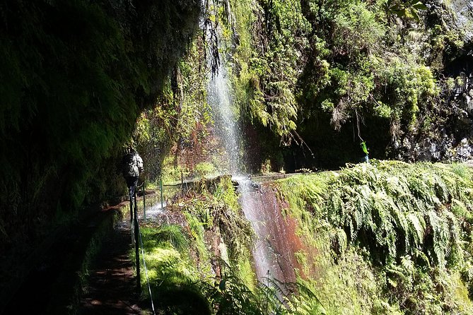 Hike in Laurisilva Levada do Rei - Madre of Life small Group guided walk - Key Points