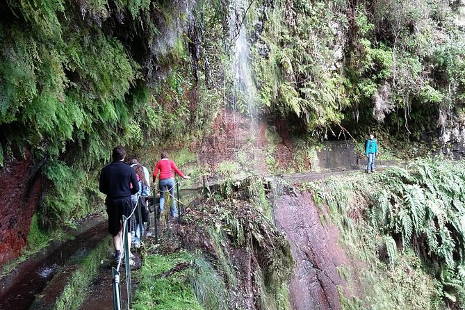 Hike in Laurisilva Levada do Rei - Madre of Life small Group guided walk - Small-Group Experience Enhances Connection and Comfort