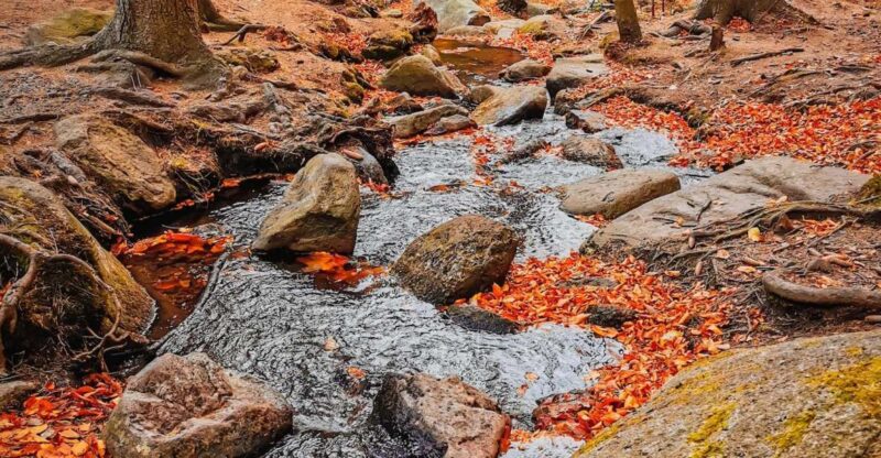 Hike in Polish Mountains: Day trip to Rudawy Janowickie - Key Points