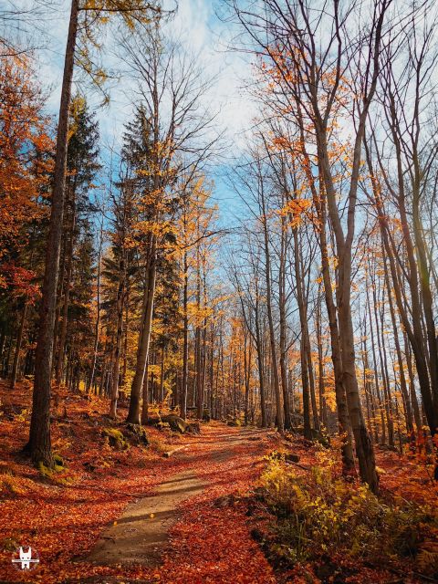 Hike in Polish Mountains: Day trip to Rudawy Janowickie - The Skalny Most and the Falcon Mountains
