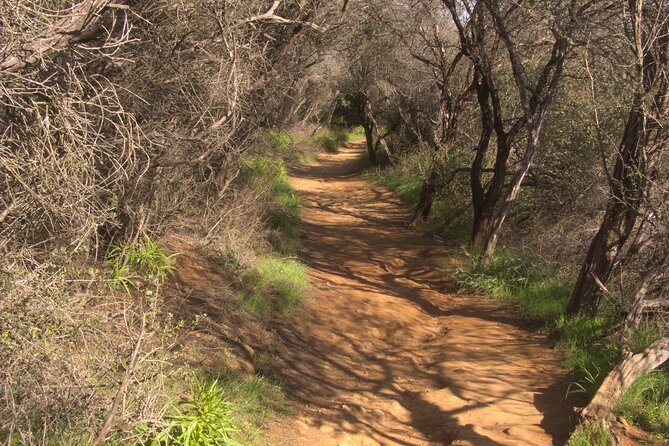 Hike in the Santa Monica Mountains - Key Points