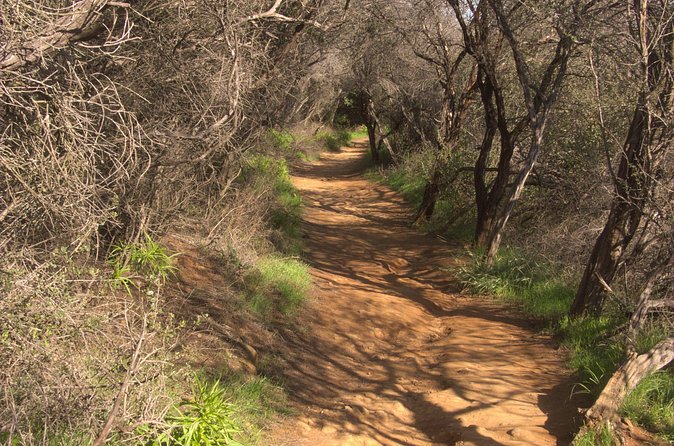 Hike in the Santa Monica Mountains - Who Will Enjoy This Tour?