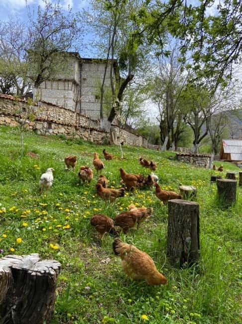 Hike Like Locals: Discover Albania's Hidden Mountain Trail - Practical Details and Booking Information