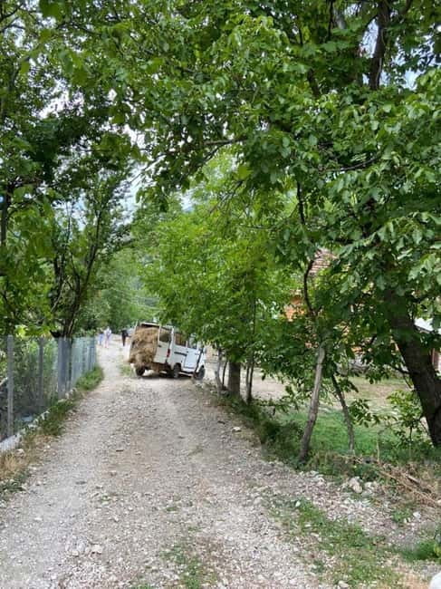 Hike Like Locals: Discover Albania's Hidden Mountain Trail - Why Choose This Albanian Mountain Hike?