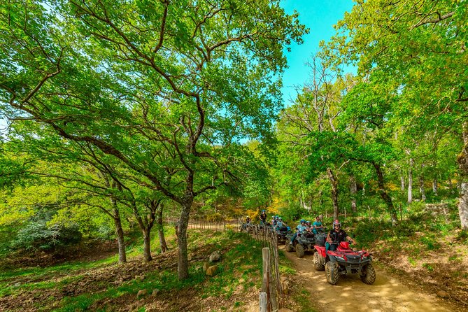 Hike on the trails of the ancient shepherds - 4h - Quad/ATV - Thrilling Off-Road Trails Through Madonie Regional Natural Park