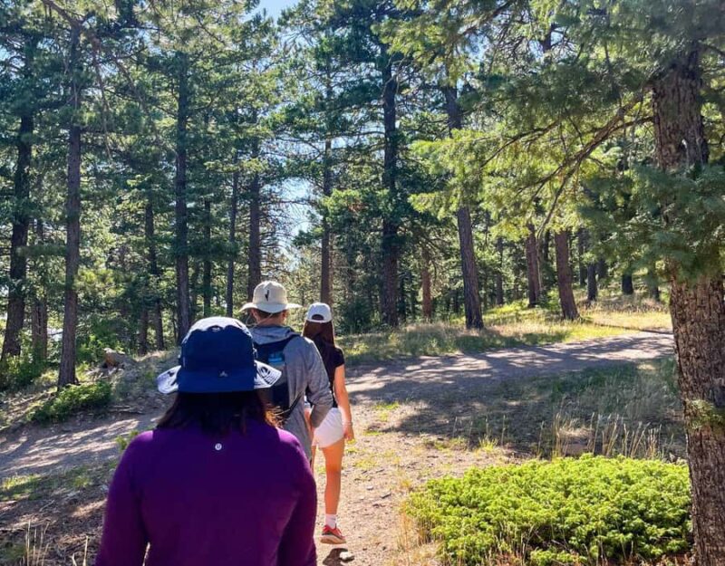 Hike & Paint Adventure in Colorado Rockies - The Outdoor Painting Class at a Scenic Spot