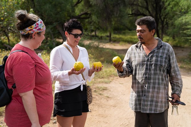 Hike the native Pericu road in Sierra de la Laguna. - Small Group Intimacy and Expert Guidance