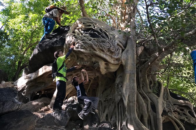 Hike the native Pericu road in Sierra de la Laguna. - Timing, Pacing, and Best Time to Book