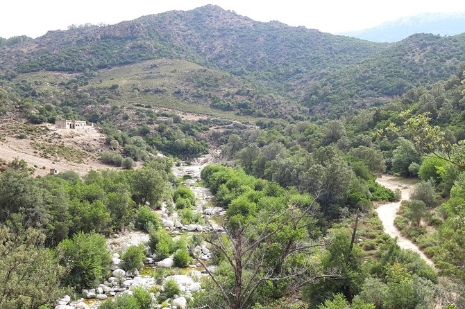 Hike to Gorropu Canyon - The Unique Geological Features of Su Gorroppu