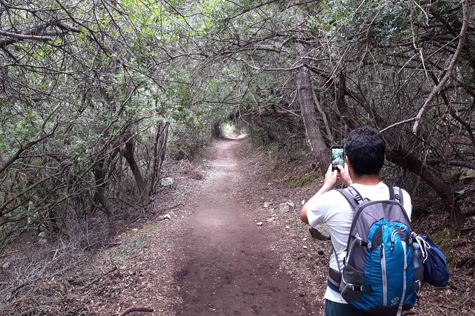 Hike to Gorropu Canyon - The Benefits of a Private Guided Tour
