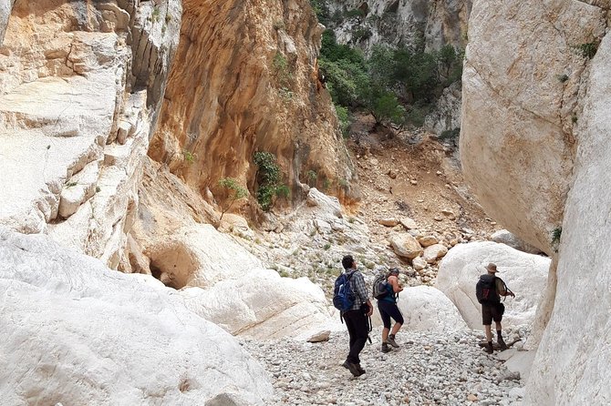 Hike to Gorropu Canyon - Cancellations and Flexibility