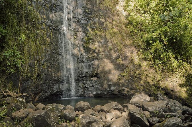 Hike Trail to Waterfall & Nature Walk - Discover Oahus Waterfalls and Scenic Lookouts for $119