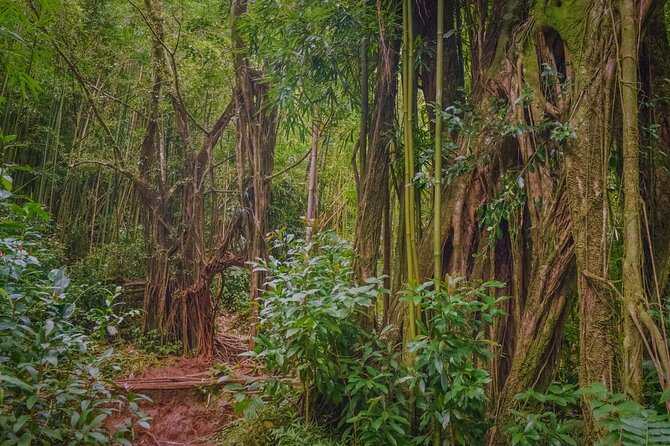 Hike Trail to Waterfall & Nature Walk - The Strengths of This Tour