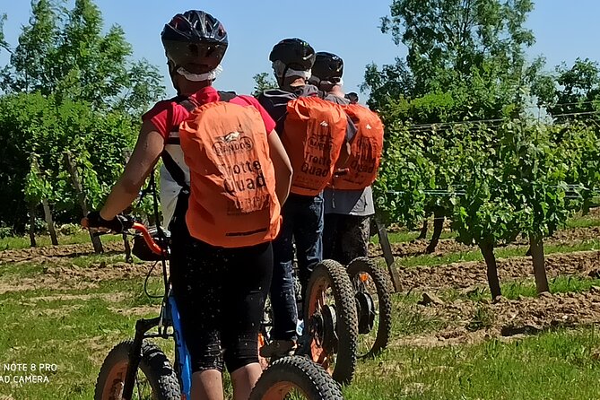 Hike trotting 3h30 - Safety and Skill Level Considerations