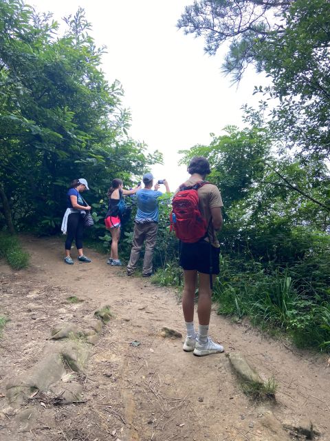 Hike Ulia | San Sebastian: El Camino de Santiago (The Way) - Explore the Scenic Coastline of San Sebastian on a Guided Ulia Hike