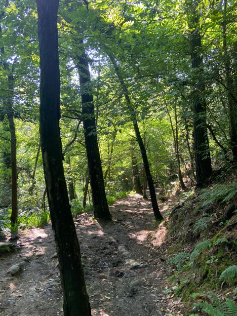 Hike Ulia | San Sebastian: El Camino de Santiago (The Way) - Key Points