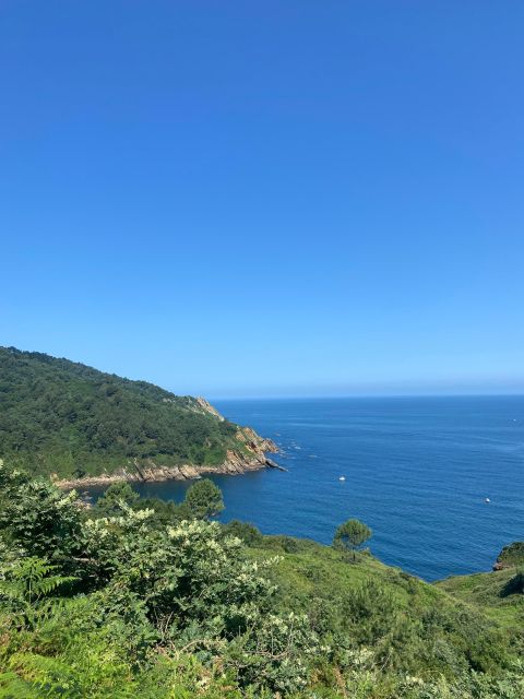 Hike Ulia | San Sebastian: El Camino de Santiago (The Way) - Walking Along the Coastal Forest Path