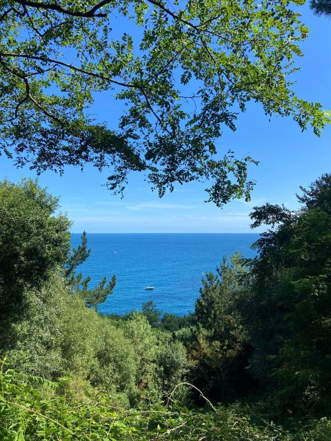 Hike Ulia | San Sebastian: El Camino de Santiago (The Way) - Visiting Mount Ulia and Photo Opportunities