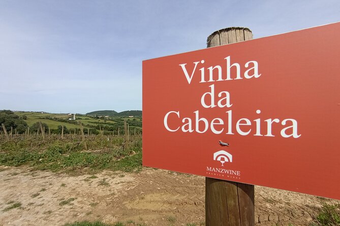 Hike & Wine Ericeira - Wine Tasting: Six Distinct Selections Paired with Tapas