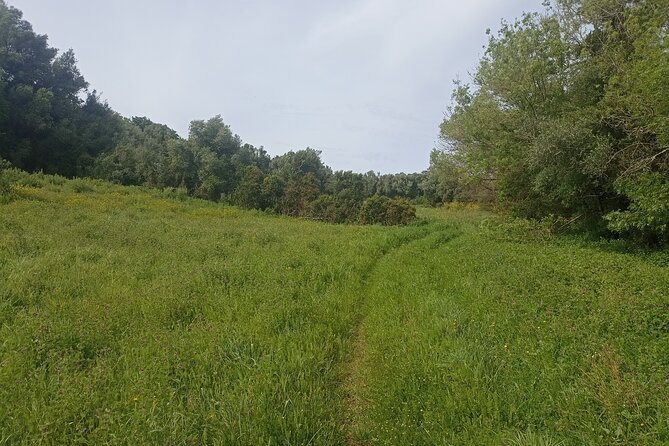 Hike & Wine Ericeira - Scenic Hike Featuring Penedo do Lexima