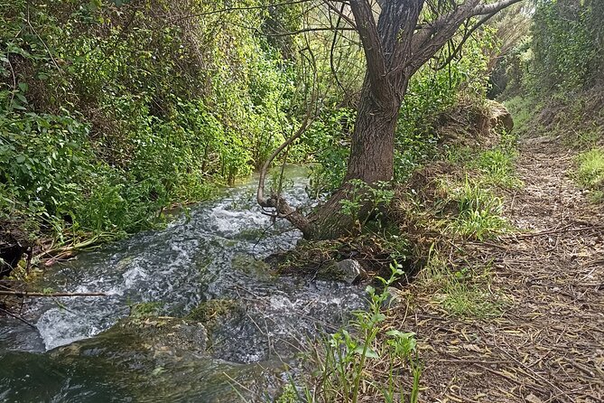 Hike & Wine Ericeira - Combining the Outdoors with Cultural Heritage