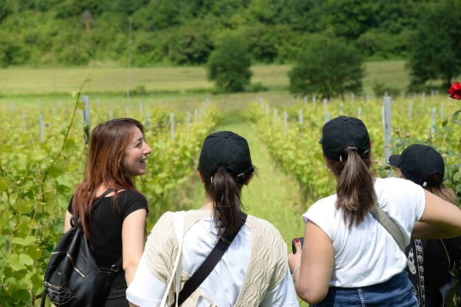 Hike & Wine Tour - Practical Details and Tour Logistics
