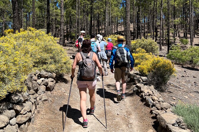 Hikes Roque Nublo - Starting Point and Transportation Logistics