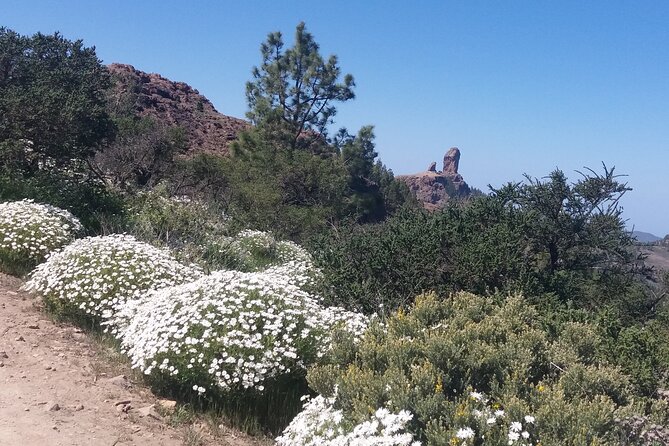 Hikes Roque Nublo - The Picnic Break with Mountain Views
