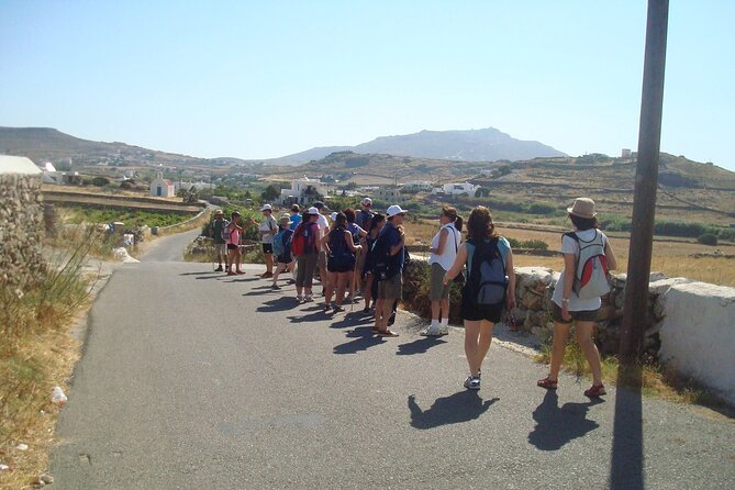 Hiking Adventure in Mykonos with Lunch Option - Who Will Appreciate This Tour the Most