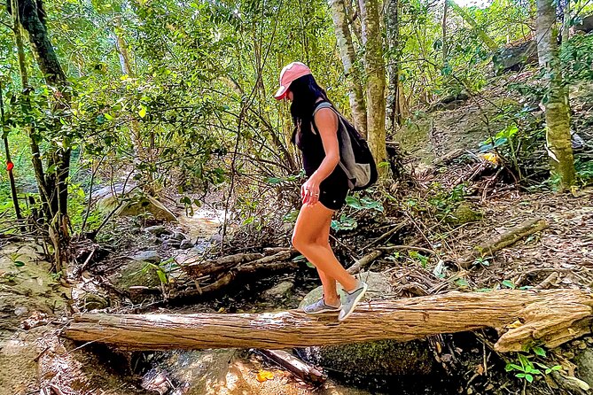 Hiking Adventure in Puerto Vallarta - Explore Puerto Vallarta’s Natural Beauty with a Full-Day Adventure