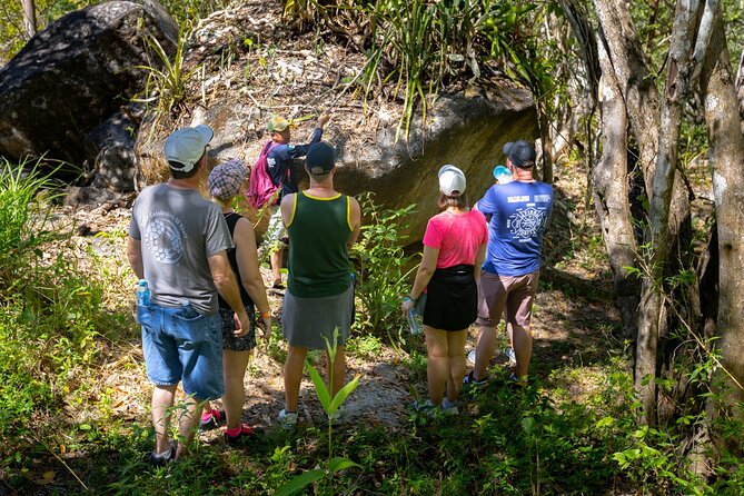 Hiking Adventure in Puerto Vallarta - Set out on a Guided Hike Along the Lush Horcones River
