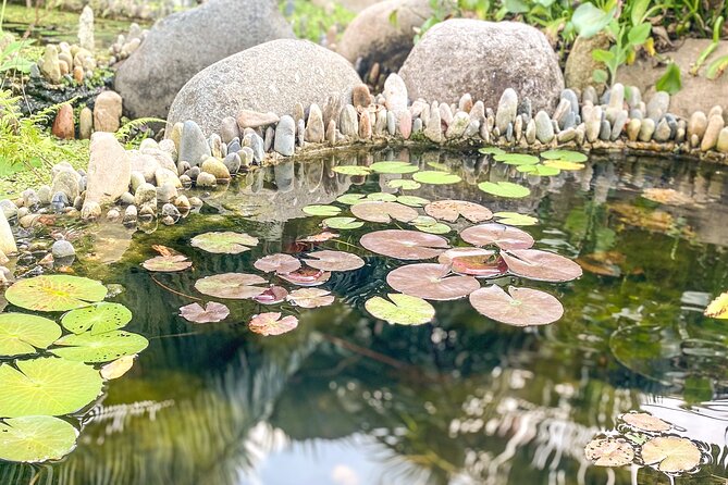 Hiking Adventure in Puerto Vallarta - Cool Off and Play at Los Veranos Adventure Park