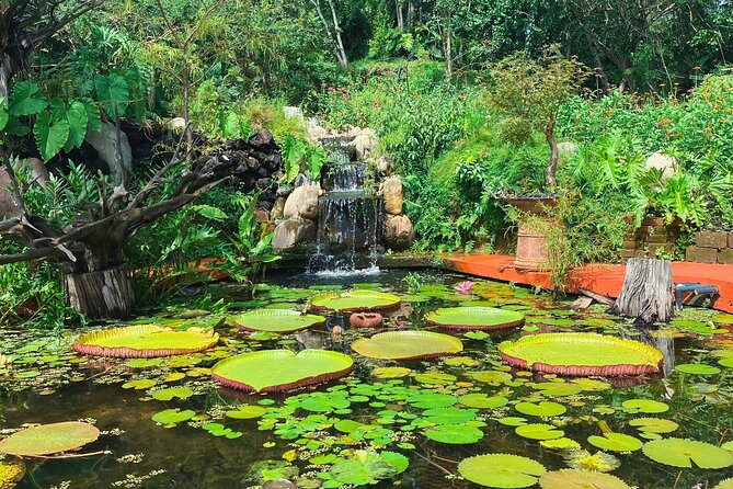 Hiking Adventure in Puerto Vallarta - Visiting the Wildlife Sanctuary: Meet Rescued Animals