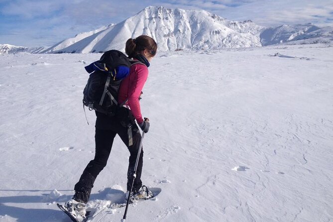 Hiking adventure in Sharri - The Route: From 1500m to 2500m and Back