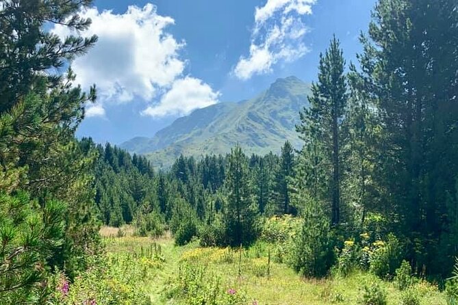 Hiking adventure in Sharri - Winter Options: Snowshoeing and Skiing in the Sharr Mountains