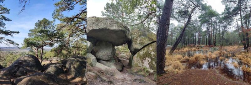 Hiking Adventure in the Fontainebleau Forest - Exploring the Fontainebleau Forest: A Unique Hiking Experience Near Paris