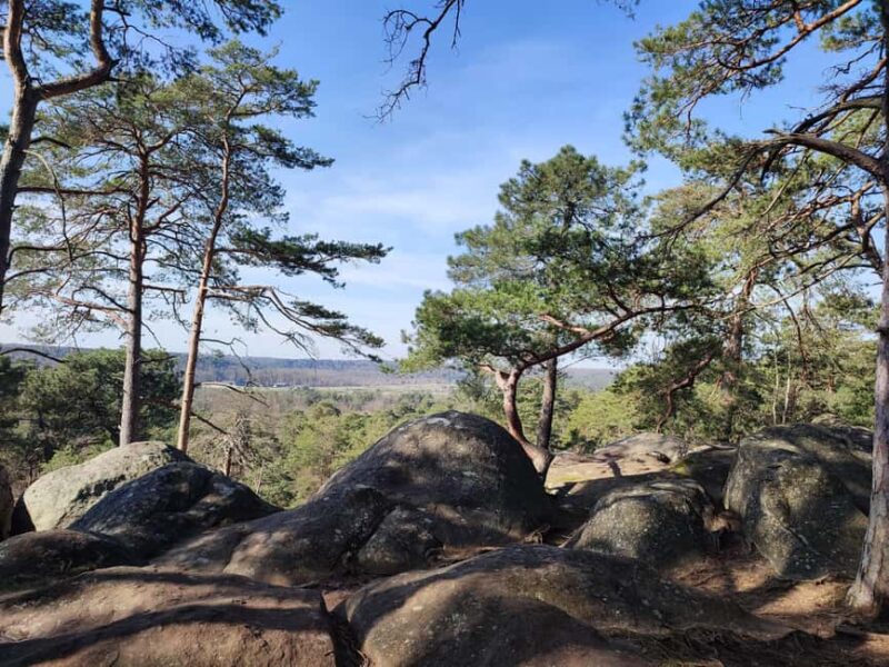 Hiking Adventure in the Fontainebleau Forest - Discovering Fontainebleau’s Sandstone Boulders and Vegetation