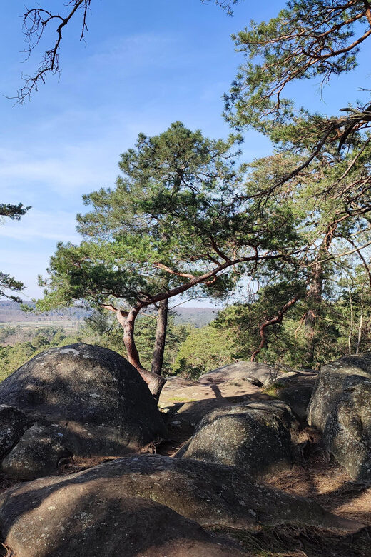 Hiking Adventure in the Fontainebleau Forest - Who Should Consider This Fontainebleau Hike?