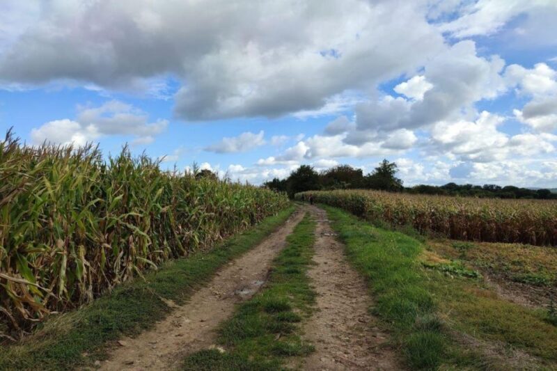 Hiking Adventure in Van Gogh's footsteps (6 miles walk) - Key Points